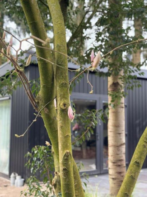Veluwe Boutique Lodge Putten Exteriör bild